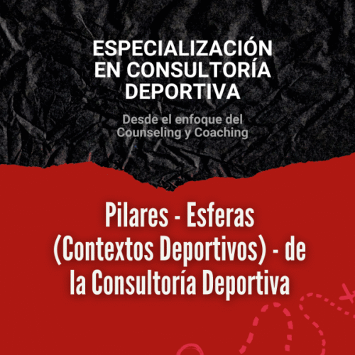 Clase 2: Pilares - Esferas de la Consultoria Deportiva