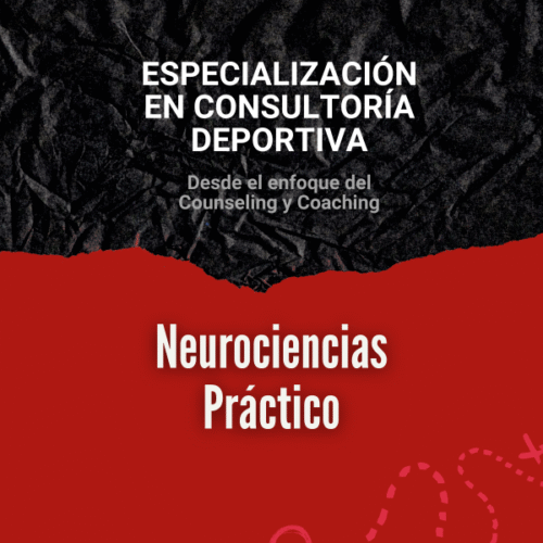 Clase 13: Neurociencias (Práctico)